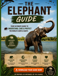 Complete Elephant Guide